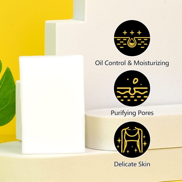 OEM Snail Mucin Serum Skin Cleansing Soap With Vitamin E Moisturizing Smoothing Skin Lightening Body Face Wash Oil Control Soap - Image 4