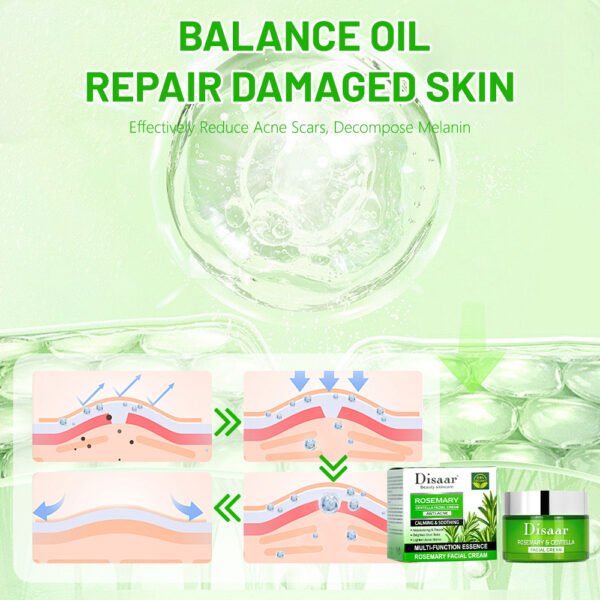Disaar Natural Rosemary & Centella Face Cream Niacinamide Skin Lightening Moisturizing Dark Spot Acne Damage Skin Repair Face Cream - Image 5