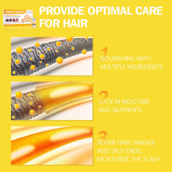 OEM Ginger & Argan Oil Hair Serum Oil Hair Root Touch Up Scalp Care Moisturizer Repair Products Essential Hair Care Oil - Image 6