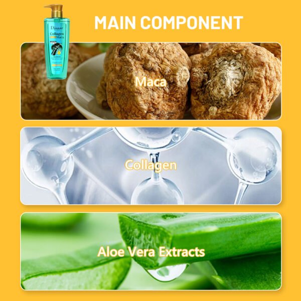 Disaar Custom Collagen Maca Hair Shampoo Aloe Vera Extracts Scalp Cleaning Hair Loss Products Nourishing Hair Wash Shampoo - Image 6